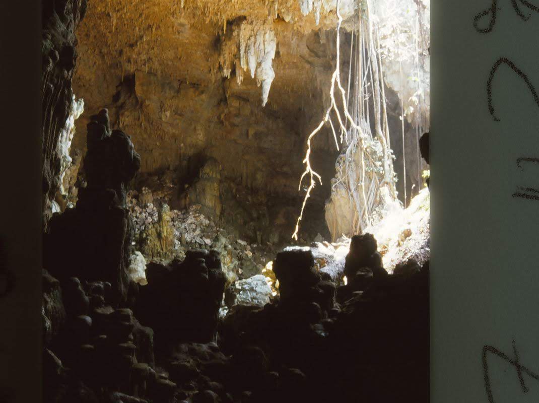 Finder ny grotte med tusinder af ituslået mayakeramik.jpg